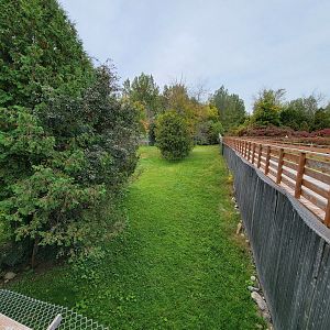 Parc Safari - Cheetah yard #1