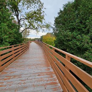Parc Safari - Boardwalk between cheetahs