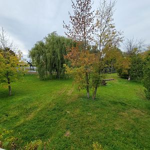 Parc Safari - Cheetah yard #1