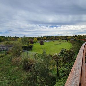 Parc Safari - Cheetah yard #3, with safari in distance