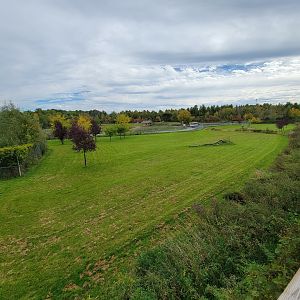 Parc Safari - Cheetah yard #3