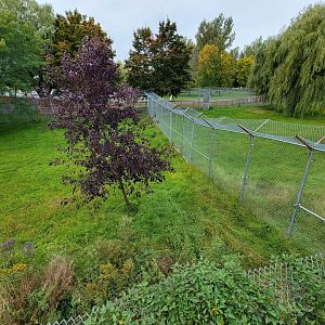Parc Safari - Cheetah yard #2 on left, #1 on right