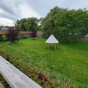 Parc Safari - Cheetah yard #2