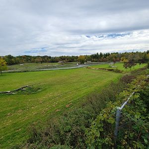 Parc Safari - Cheetah yard #3, with safari in distance