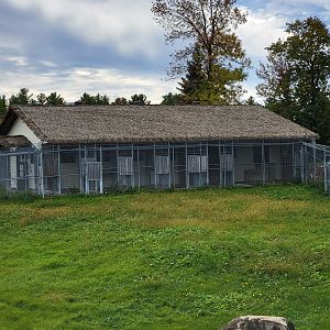 Parc Safari - Cheetah kennels