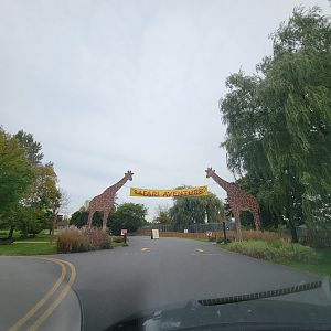 Parc Safari - Safari, start of road