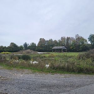 Parc Safari - Safari, waterbuck near exit