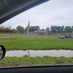 Parc Safari - Safari, plains zebras and common eland