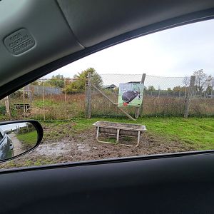 Parc Safari - Safari, closed off sable yard