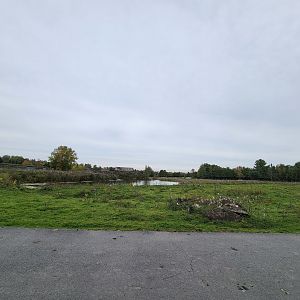 Parc Safari - Safari, addax and wildebeest yard