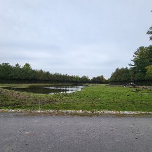 Parc Safari - Safari, empty looking space