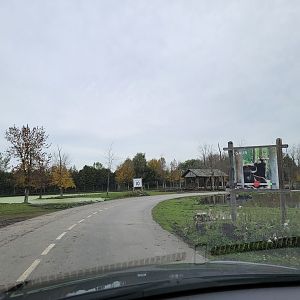 Parc Safari - Safari, road