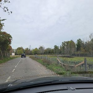 Parc Safari - Safari, road