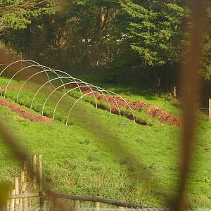 Former camel enclosure, December 2022