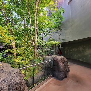 Biodôme Montréal - Laurentian Maple Forest - Inside entrance