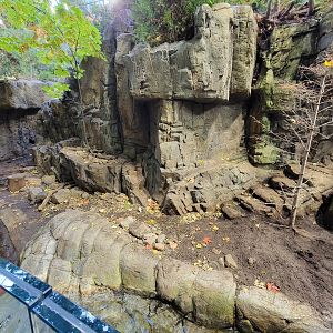 Biodôme Montréal - Laurentian Maple Forest - North American river otter