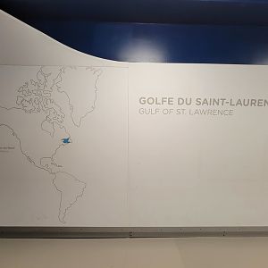 Biodôme Montréal - Gulf of St. Lawrence - Entrance