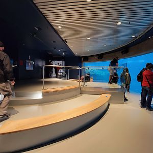 Biodôme Montréal - Gulf of St. Lawrence - Underwater viewing, seating area