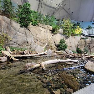 Biodôme Montréal - Gulf of St. Lawrence