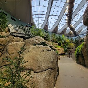 Biodôme Montréal - Gulf of St. Lawrence