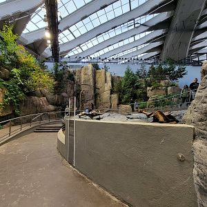 Biodôme Montréal - Gulf of St. Lawrence