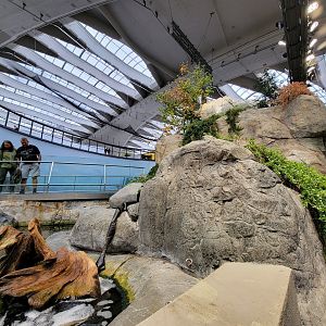 Biodôme Montréal - Gulf of St. Lawrence