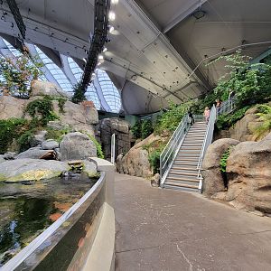 Biodôme Montréal - Gulf of St. Lawrence