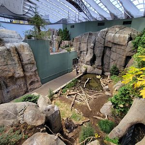 Biodôme Montréal - Gulf of St. Lawrence - From mid-floor landing