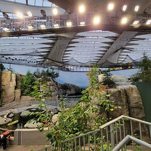 Biodôme Montréal - Gulf of St. Lawrence - From mid-level landing