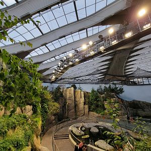 Biodôme Montréal - Gulf of St. Lawrence - From mid-level landing