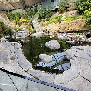 Biodôme Montréal - Gulf of St. Lawrence - Tide pool