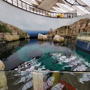 Biodôme Montréal - Gulf of St. Lawrence
