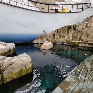 Biodôme Montréal - Gulf of St. Lawrence