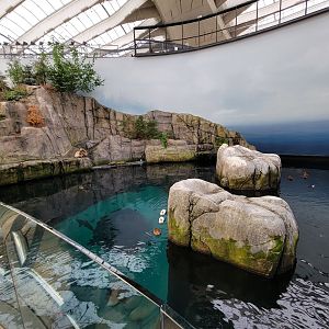 Biodôme Montréal - Gulf of St. Lawrence