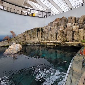 Biodôme Montréal - Gulf of St. Lawrence