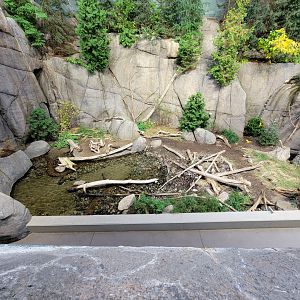 Biodôme Montréal - Gulf of St. Lawrence