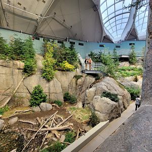 Biodôme Montréal - Gulf of St. Lawrence