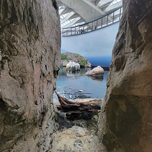 Biodôme Montréal - Gulf of St. Lawrence - Narrow viewing windows near exit from the Gulf