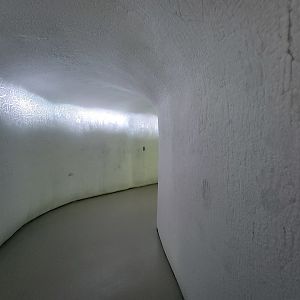 Biodôme Montréal - Sub-Antarctic Islands - Entrance path