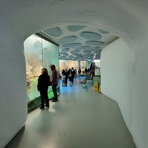 Biodôme Montréal - Sub-Antarctic Islands - Entrance