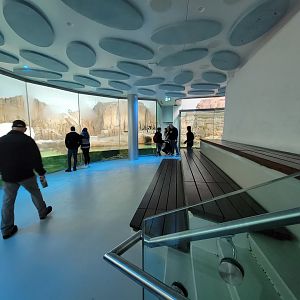 Biodôme Montréal - Sub-Antarctic Islands - Seating area