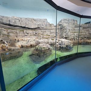 Biodôme Montréal - Labrador Coast