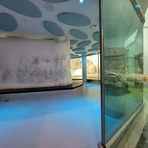 Biodôme Montréal - Labrador Coast - Seating, with penguin window visible in background