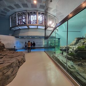 Biodôme Montréal - Labrador Coast area