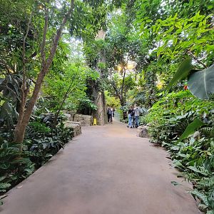 Biodôme Montréal - Tropical Rainforest - Inside entrance