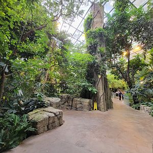 Biodôme Montréal - Tropical Rainforest - Inside entrance