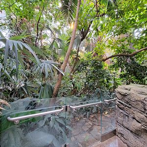 Biodôme Montréal - Tropical Rainforest - Inside entrance
