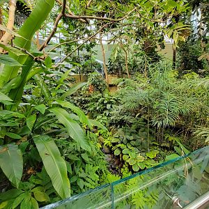 Biodôme Montréal - Tropical Rainforest