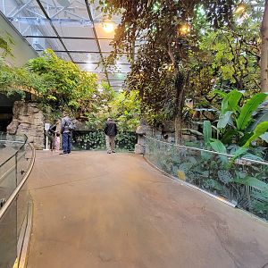 Biodôme Montréal - Tropical Rainforest