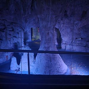 Biodôme Montréal - Tropical Rainforest - Bats